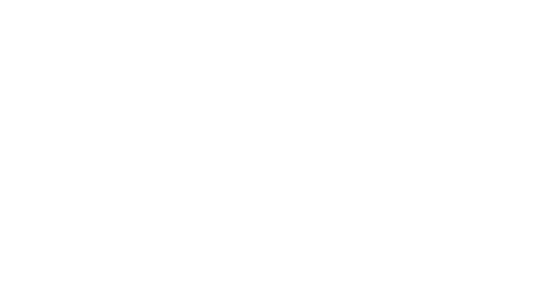 Wickes logo for our sales team training case study